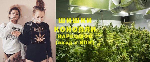 2c-b Вяземский