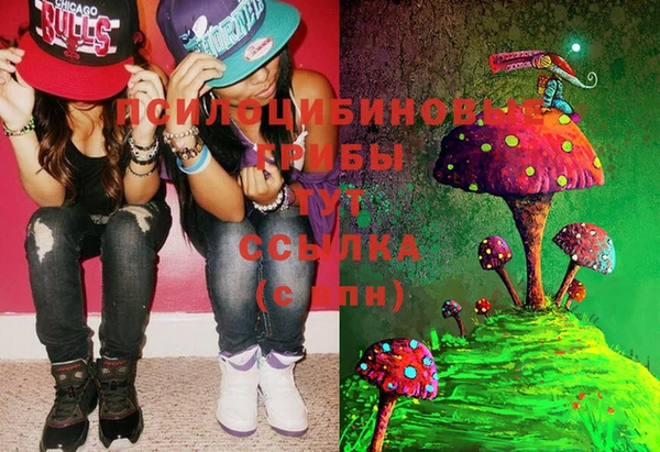 2c-b Вязники