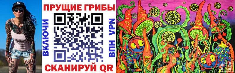 Псилоцибиновые грибы GOLDEN TEACHER  Купить закладки  Хвалынск 